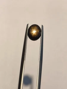 2,46 Cts A HERMOSO ZAFIRO ESTRELLA NEGRO 100% SIN CALOR PERFECTO 6 ESTRELLAS! - Imagen 1 de 7