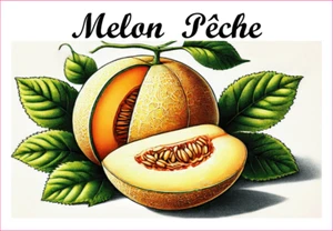 Melon Pêche 12 sticker vinyl conserve fruit légume confiture fait maison - Picture 1 of 13