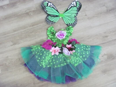 SZ 5-6 Eden the Butterfly Fairy Dress with Wings BEAUTIFUL well made PRINCESS - Image 1 of 4
