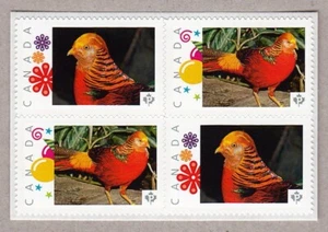GOLDEN PHEASANT = bird = Se-tenant Block Picture Postage Canada 2016 [p16/02ph4] - Picture 1 of 2
