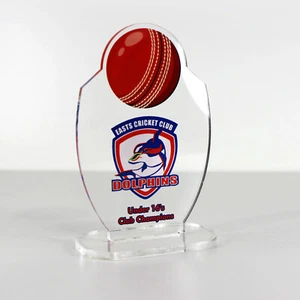 ACRYLIC COLOUR TROPHY AWARD CUSTOM DESIGNED FOR CRICKET SPORTS ACHIEVEMENT - Imagen 1 de 3