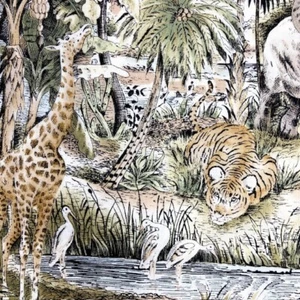 Giraffe Elephant Zebra Tiger Wild Animal themed  100% Cotton Fabric quilt or sew - Picture 1 of 6