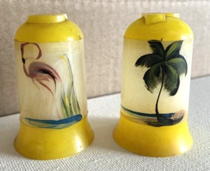 Vintage Plastic Souvenir Salt & Pepper Shakers MCM - Picture 1 of 7