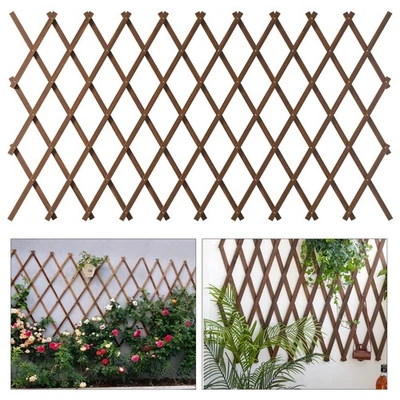 Enrejado de jardín expandible, enrejado de 37" x 90" para plantas trepadoras al aire libre, Woo... Foto 1 de 4