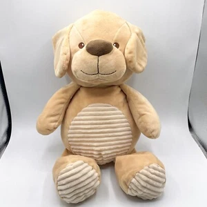 Kellytoy Beige Cachorro Perro Peluche Bebé Sonajero Acanalado Vientre Marrón 2017 Grande 18 pulgadas - Imagen 1 de 8