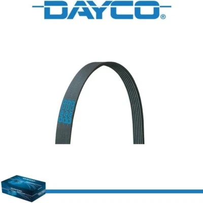 Dayco Poly Rib Serpentine Belt for FORD LTA9000 1992-1997 6-10.3L - Image 1 of 4