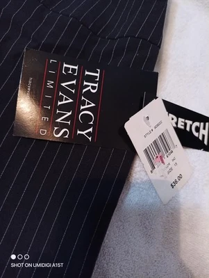 NWT Vintage Tracy Evans Limited Gray Pin Stripe Slacks/Pants Size 15 Stretch - Image 1 of 4