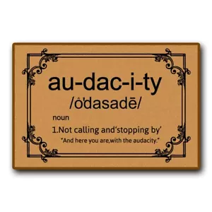 Audacity Door Mat Non-Slip Funny Outdoor Front Door Decor Floor Mat - Picture 1 of 4