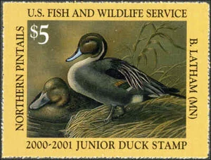 JUNIOR DUCK STAMP #8 2000 SINGLES FROM A BROKEN SHEET LATHHAM BELOW WHOLESALE - Picture 1 of 1