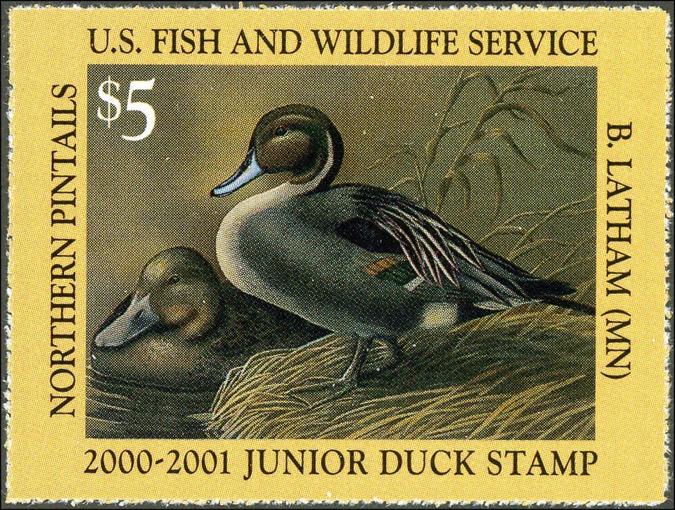 JUNIOR DUCK STAMP #8 2000 SINGLES FROM A BROKEN SHEET LATHHAM BELOW WHOLESALE - Image 1 of 1