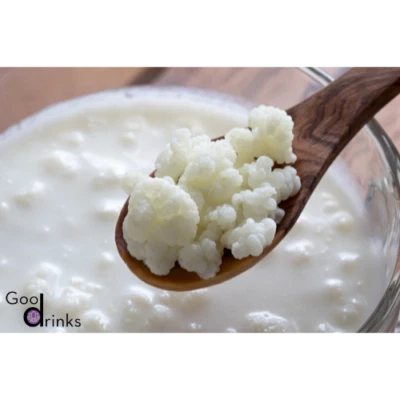Milk kefir, kefir tubers, Tibetan mushroom, kefir, kefir mushroom - Image 1 of 4