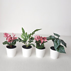 IKEA Fejka Mini Faux Succulents in Pots - Artificial Plants for Home Decor 16cm