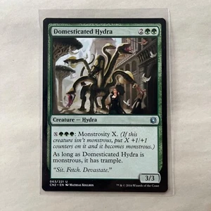MTG Domesticated Hydra (63/234) Conspiracy Take the Crown LP - Picture 1 of 2