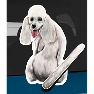 Pegatina para ventana trasera de coche caniche blanco + cola meneante para caber en brazo limpiaparabrisas - Imagen 1 de 3