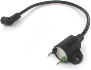 COIL FOR ET950 ET650 Harbor Freight Chicago Electric Storm CAT 63cc 800 900 CO19 - Bild 1 von 6