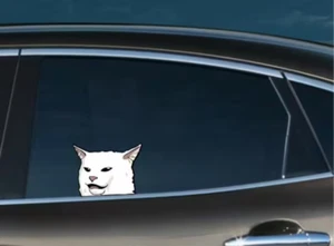 Angry Cat Peeking Peek Peekabo Window Vinyl Decal Funny Stickers cartoon - Picture 1 of 4