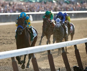 2015 Victor Espinoza AMERICAN PHAROAH Belmont Stakes Horse Racing 8x10 Photo - Picture 1 of 1