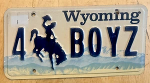 WYOMING VANITY NUMMERNSCHILD " 4 BOYZ " WY BOYS - Bild 1 von 1