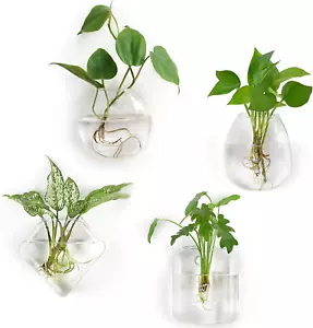 Propagation Wall Hanging Planter Glass Terrarium Flower Vases Holder for Indoor - Picture 1 of 1