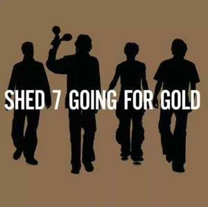 Shed Seven Going for Gold Greatest Hits Double Vinyl LP New Sealed - Picture 1 of 1