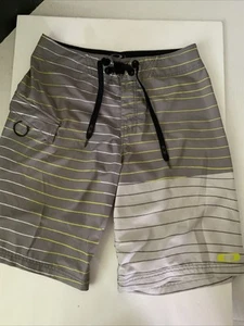Oakley Mens Board Shorts Gray Stripe Size 30 Surf Swim Trunks - Foto 1 di 6