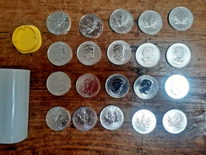 20 x 1 oz Silver Maple Leaf Coins in Original Canadian Mint Tube - Year 2013 - Picture 1 of 3