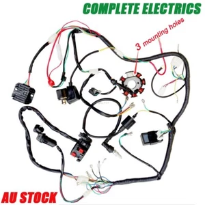 Complete Electric Wiring Harness 3 Holes stator For 200cc 250cc ATV Quad Buggy - Picture 1 of 12