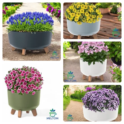 Pflanzschale Schale für Solarbrunnen Blumentopf Schale mit Füßen Grabschale - Bild 1 von 4