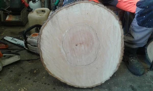 Baumscheibe, Holzscheibe, 30x3 cm, Linde, Tischplatte - Bild 1 von 1