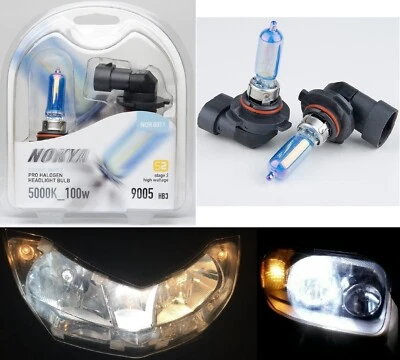 Nokya 5000K White 9005 HB3 Nok8011 100W Two Bulbs Head Light High Beam Halogen - Image 1 of 4