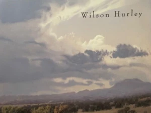 WILSON HURLEY 2004 EXHIBTION CATALOG 35 COLOR PLATES MINT! - Picture 1 of 3