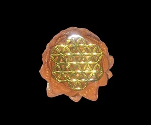 Knobcone mit Gold Aufkleber ANHÄNGER - Bild 1 von 2