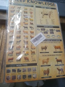 Sheep Knowledge Display Metal Sign 8 x 12 in-Retro look - Foto 1 di 1