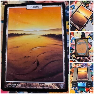 MTG Plains 🇬🇧 Unhinged Art 2004 Land Karte Card White Deck Og - Bild 1 von 5