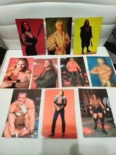 WCW/NWO 1998 Panini Superstars Photocard LOT (10) VINTAGE STING/FLAIR/NASH/DDP