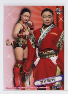Meiko Satomura - 2015 BBM Women's Pro-Wrestling Trading Card - Picture 1 of 3