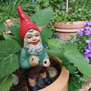 Alter Gartenzwerg, Heissner, 1960er Jahre, freundlich, kl. Serie 21cm Höhe, Gnom - Bild 1 von 7