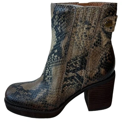 Zodiac Boots Phoenix Snakeskin Black Tan Square Toe Ankle Boot Women's Size 5M - Image 1 of 4