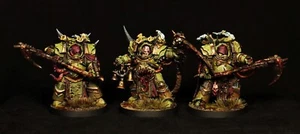 Deathshroud Bodyguard Death Guard painted Warhammer 40k Chaos Space Marines - Picture 1 of 2