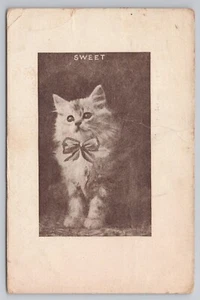 Süßes Kätzchen mit Schleife um 1908 antike Postkarte - Bild 1 von 3