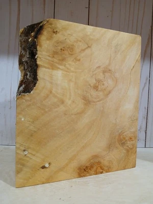 XL Live Edge Maple Burl wood Blank Turning Wood, EPOXY WOOD, STABILIZING Wood  - Image 1 of 4
