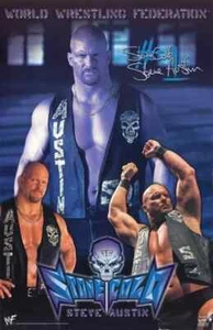STONE COLD STEVE AUSTIN 2001 Vintage WWF WRESTLING Poster by Funky Enterprises - Picture 1 of 1