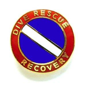 Dive Rescue Recovery Collar Pin Device Diving Team Gold Scuba Diver Flag 68G2 - Imagen 1 de 9