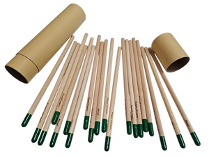Set 120 Matite Piantabili con Semi e Nome Seme Inciso - Eco Gadget Sostenibile - Foto 1 di 15