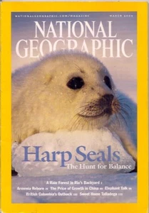 national geographic-MAR 2004-HARP SEALS. - Bild 1 von 2