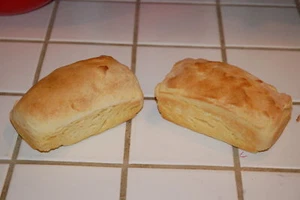 Gluten Free Z0URDOUGH BREAD STARTER San Francisco (SAMMy) plus recipes - Picture 1 of 6