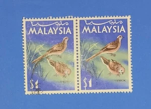Malaysia 1965 Bird 1$ SG24 pair used. - Picture 1 of 2
