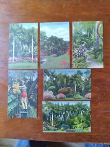 Florida Sankt Petersburg Konvolut 6 versunkene Gärten tropische Leinen Postkarten - Bild 1 von 8