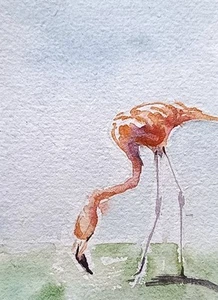 original watercolor painting ACEO flamingo bird in pond rural sky sea SIBY - Picture 1 of 3