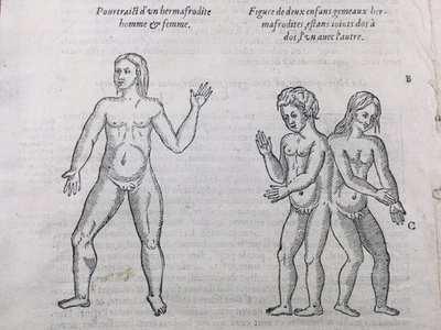 Hermaphrodite 1614 Twin Androgynous Transsexual Saint Auban Coquin Twin - Image 1 of 4